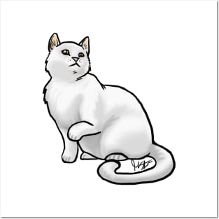 Cat - European Shorthair - White Posters and Art